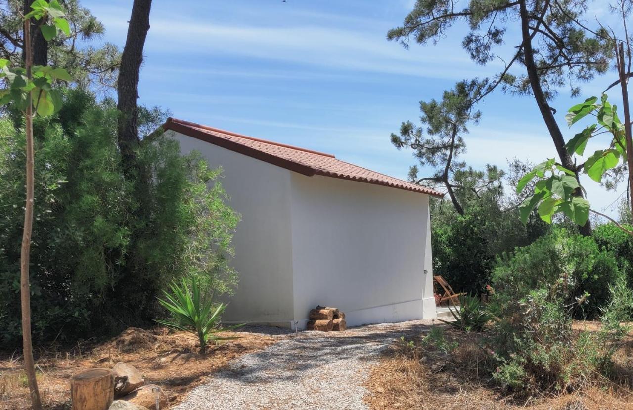 Bed and Breakfast Quinta Do Alento Sesimbra Zewnętrze zdjęcie